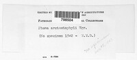Image Associated With the Occurence